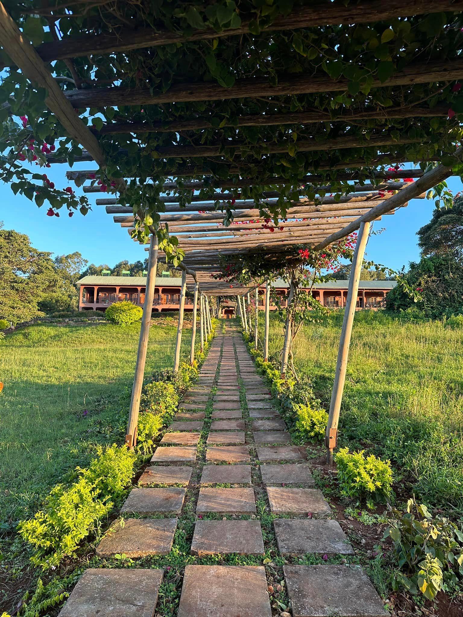 Arbor in Tanzania